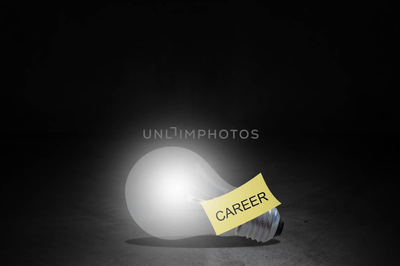 Career path concept, human resource management,  job promotion, idea to success