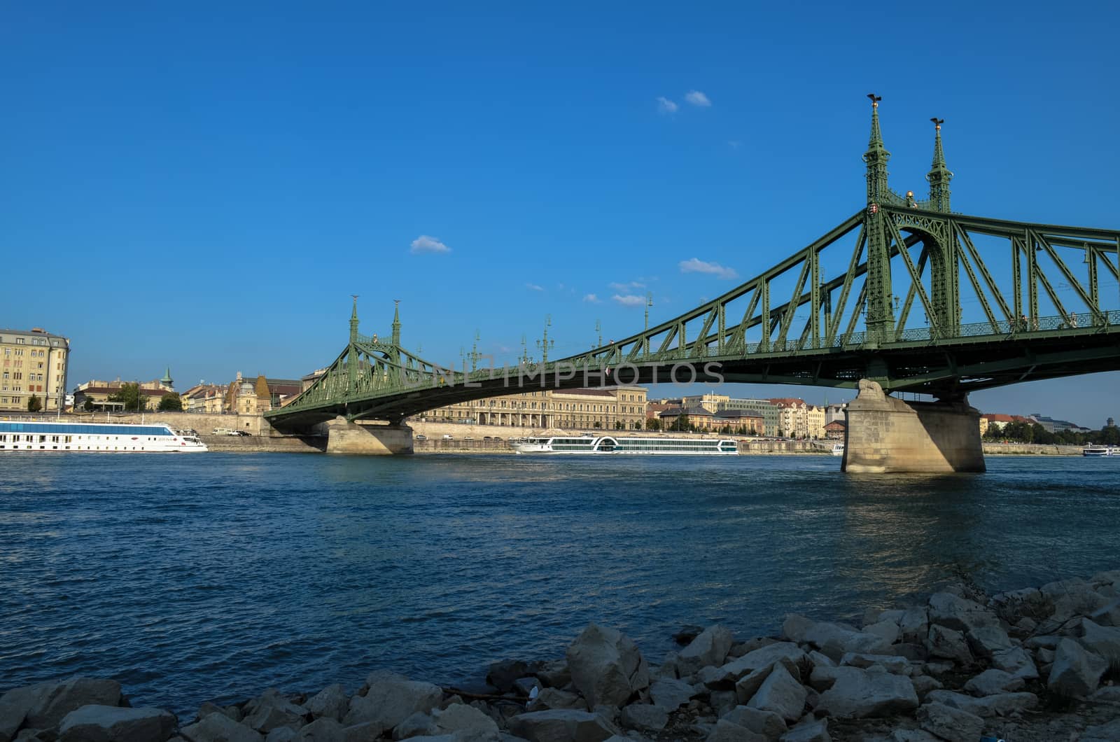 Liberty Bridge in Budapest, Hungary. Danube River by chernobrovin