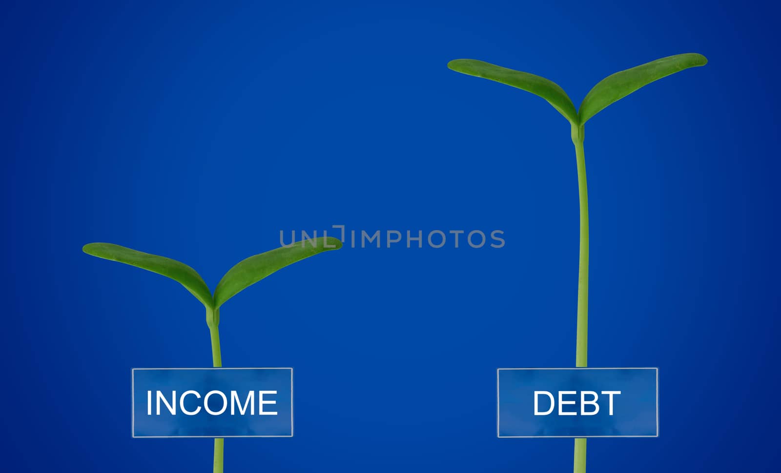 Debt and income, financial crisis concept, young plant on blue background