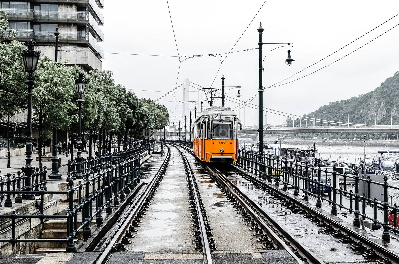 Number 2 orange tram passes along the Danube River from Erzhebet Bridge near Belgrade Embankment. Budapest, Hungary by chernobrovin