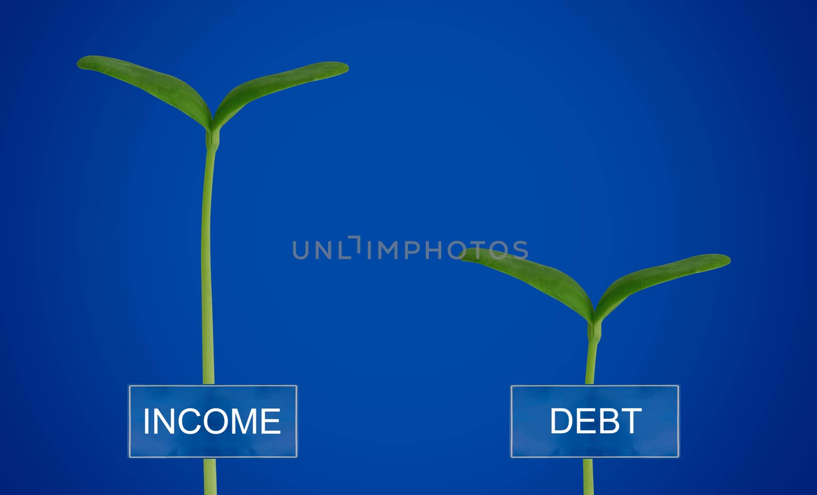 Debt and income, financial balance concept, young plant on blue background