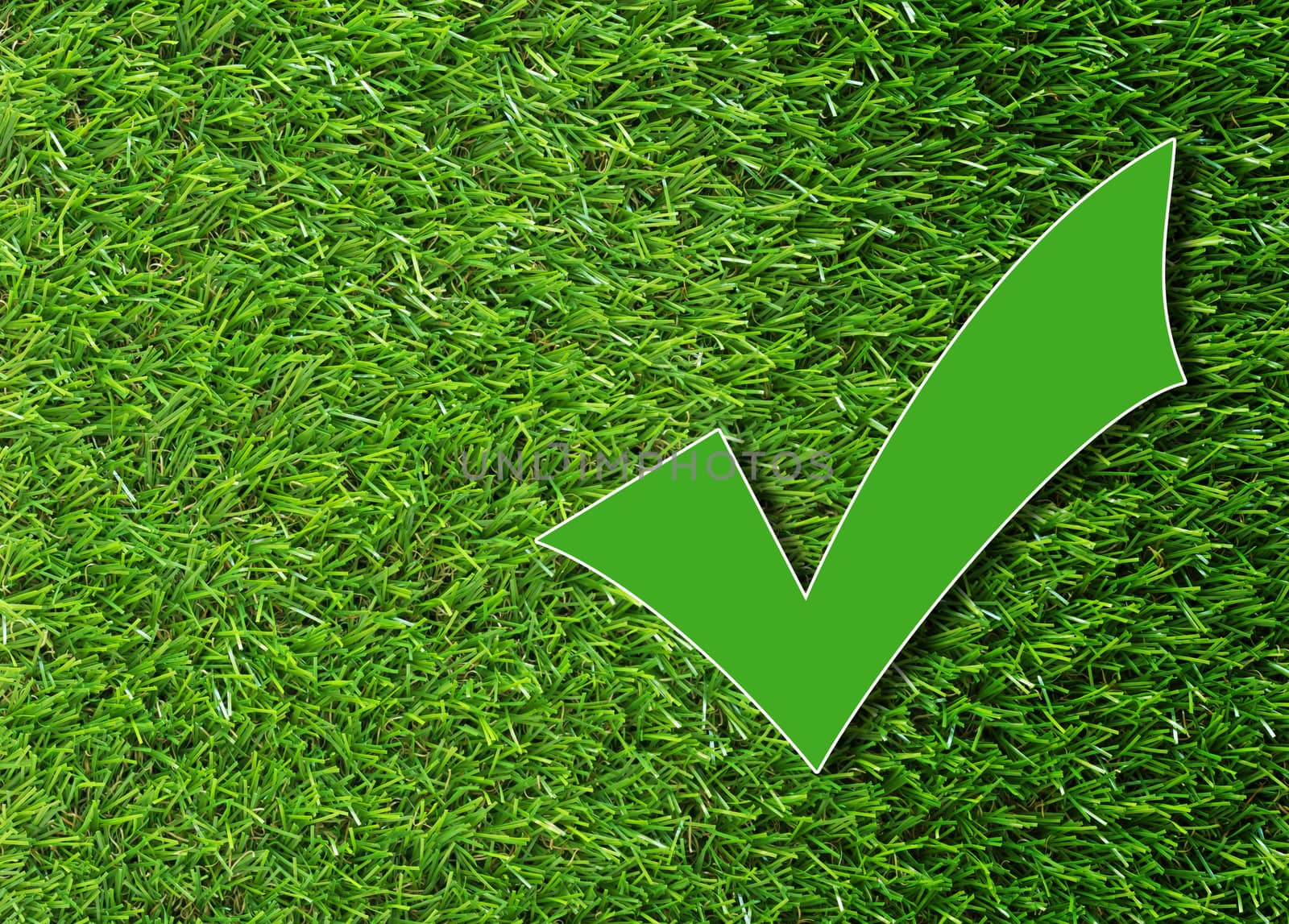 Green check mark on grass background, correction concept