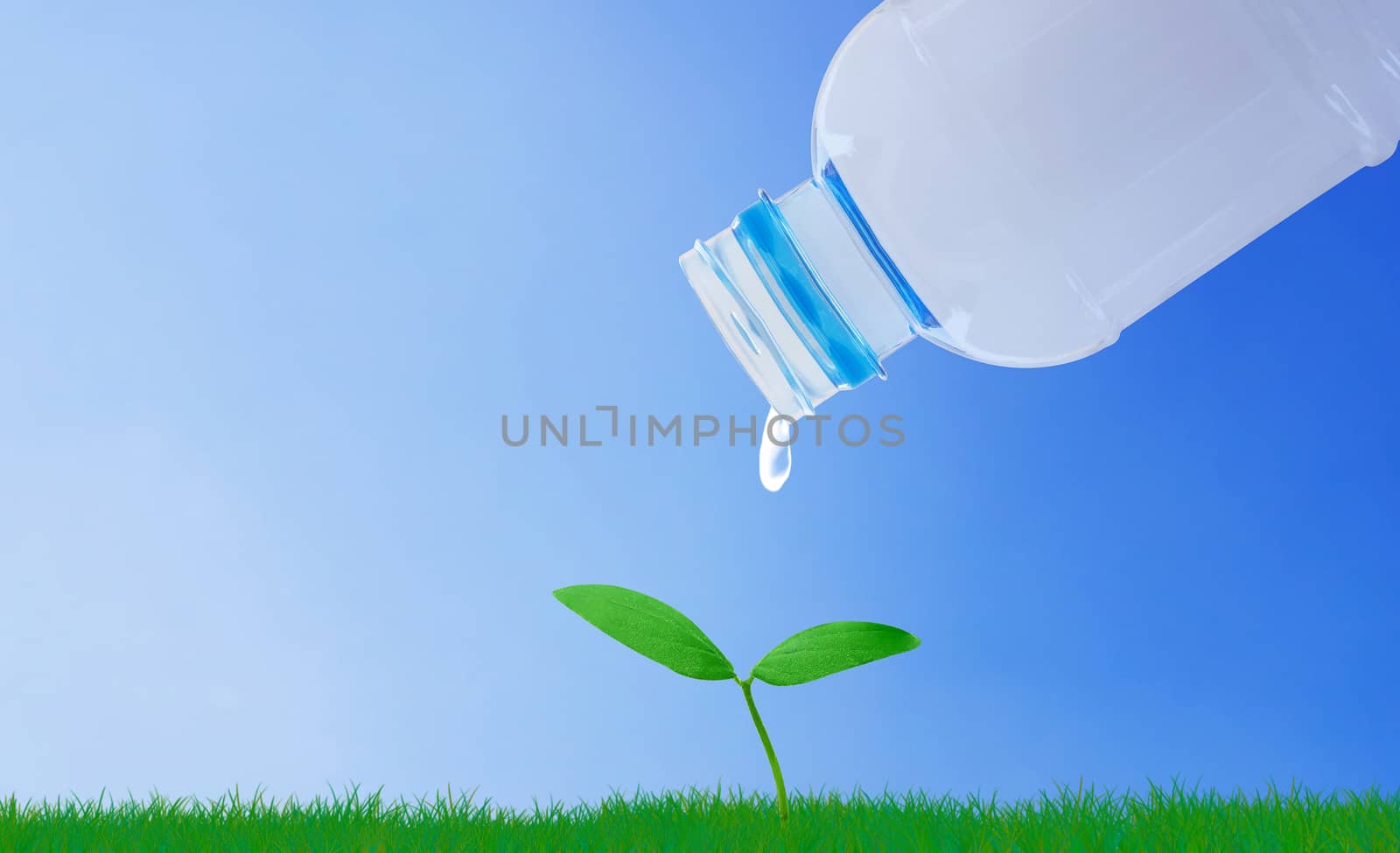Business growth concept, young plant and water on blue sky background, financial increase market profit, nature and ecology