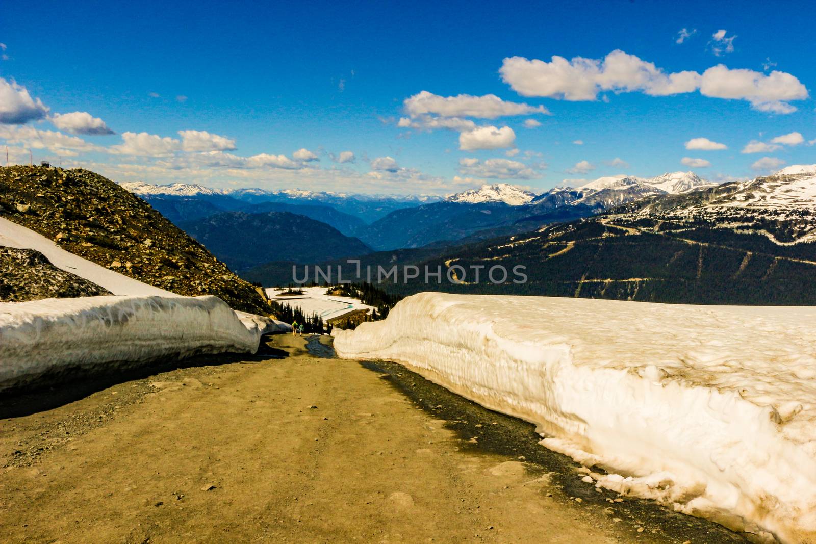 Snow covered trees and pathways in the Whistler and Black Comb M by mynewturtle1