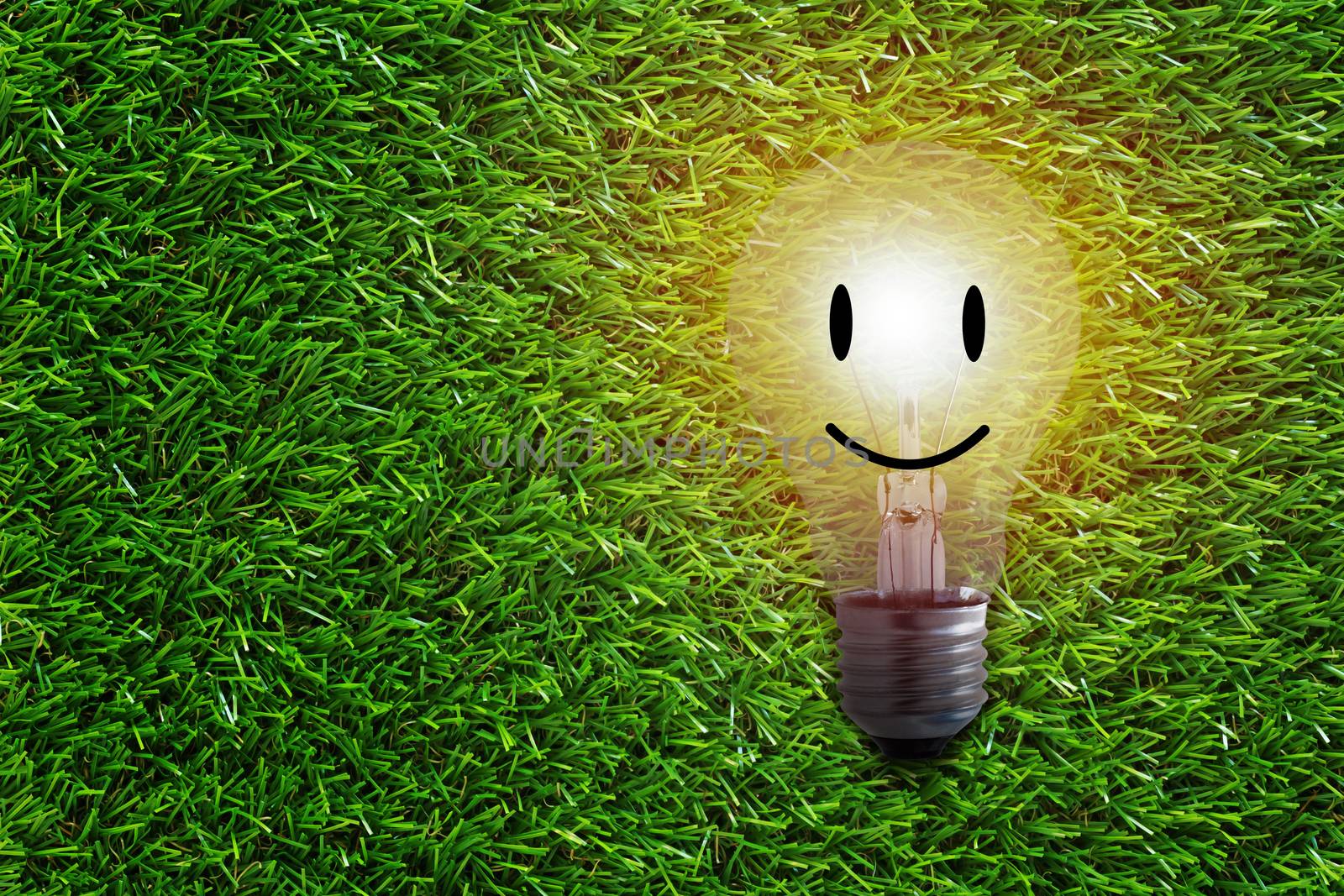 Happiness concept, smile and light bulb on green grass background, nature and ecology