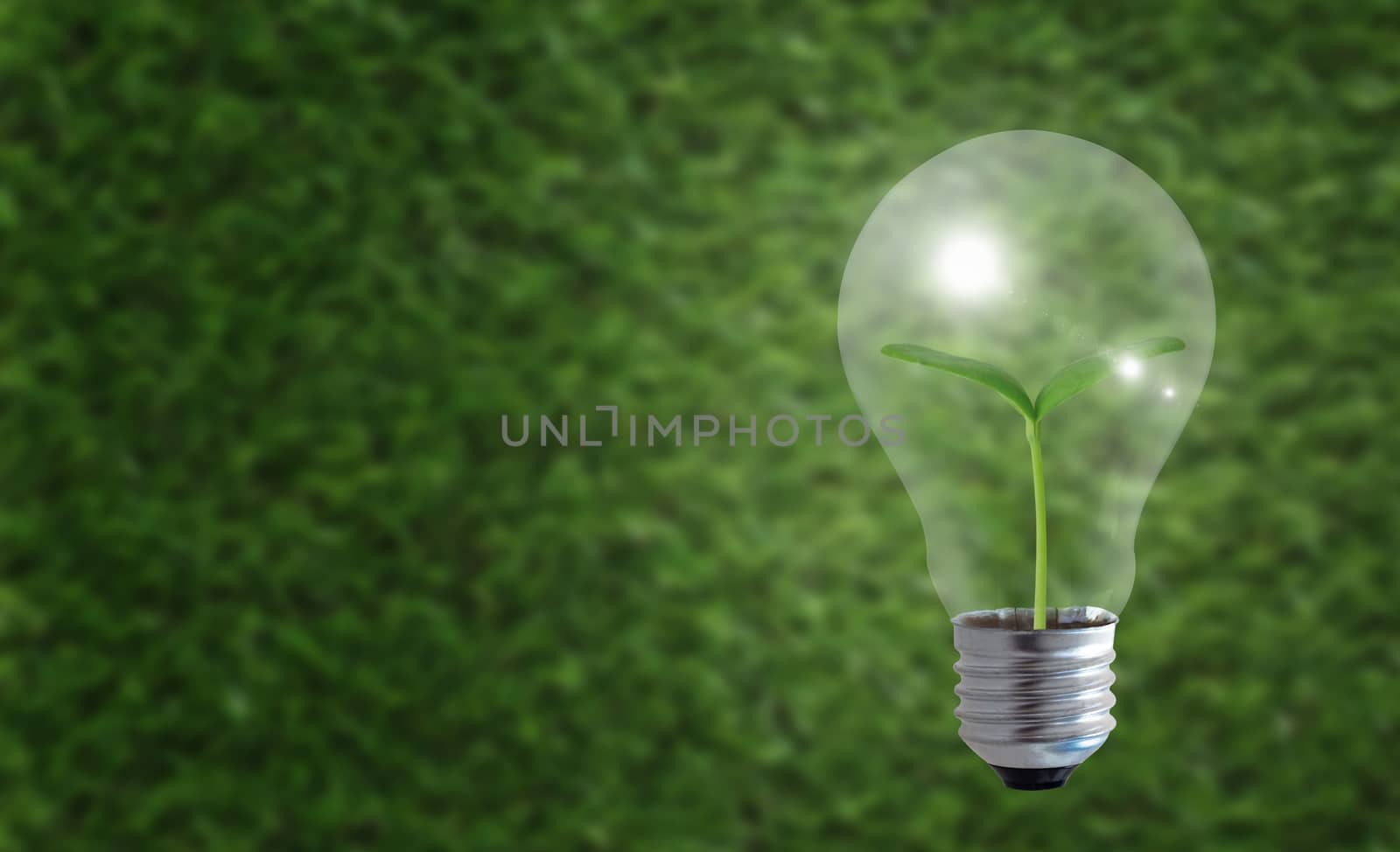 Business growth concept, light bulb on green background, financial increase market profit, nature and ecology