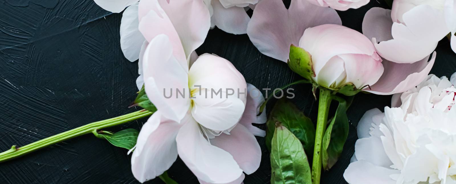 Blooming peony flowers as floral art background, botanical flatlay and luxury branding by Anneleven