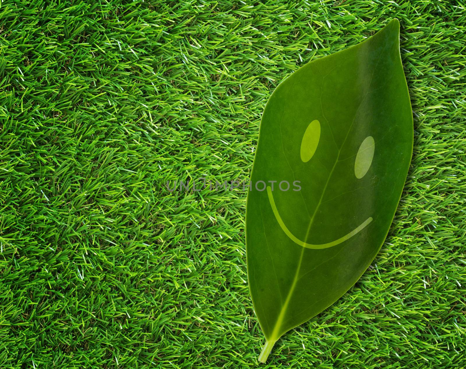 Happiness concept, leaf smile on green grass background, eco friendly, nature and ecology