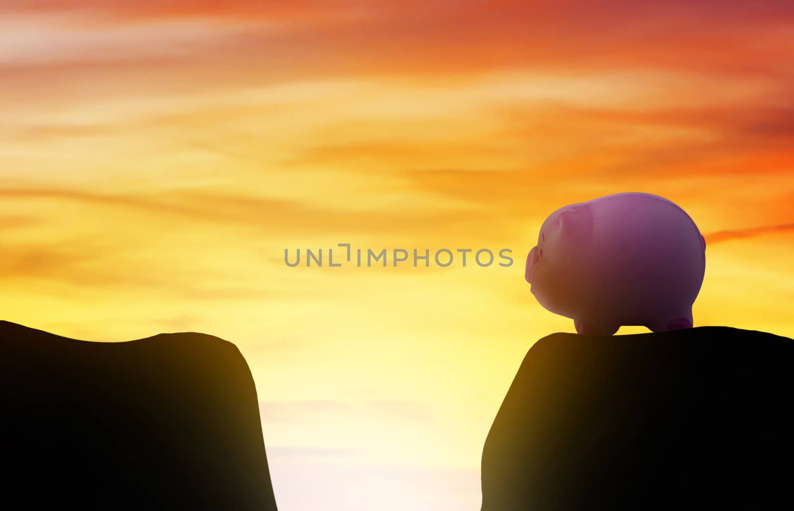 Risk management concept, pig standing on the mountain 