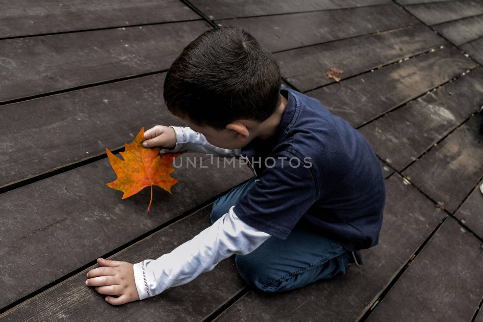 Little boy and a maple leaf on a wooden floor by chernobrovin