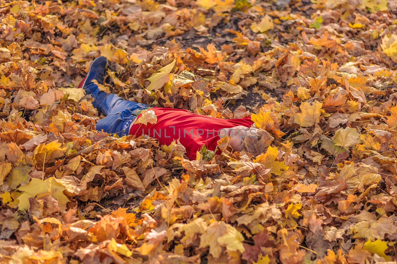cheerful boy in a red jacket and blue jeans looks up to the sky, lying in yellow leaves in the autumn forest