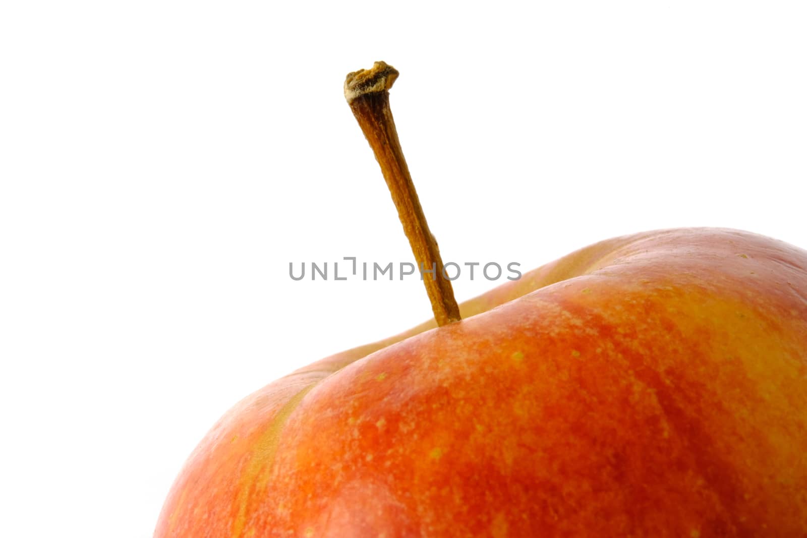 Close up red Apple fruit isolated on white background