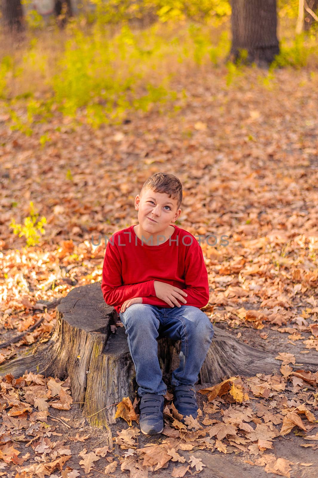 cheerful little guy in a red raglan sitting on a stump in an autumn yellow park