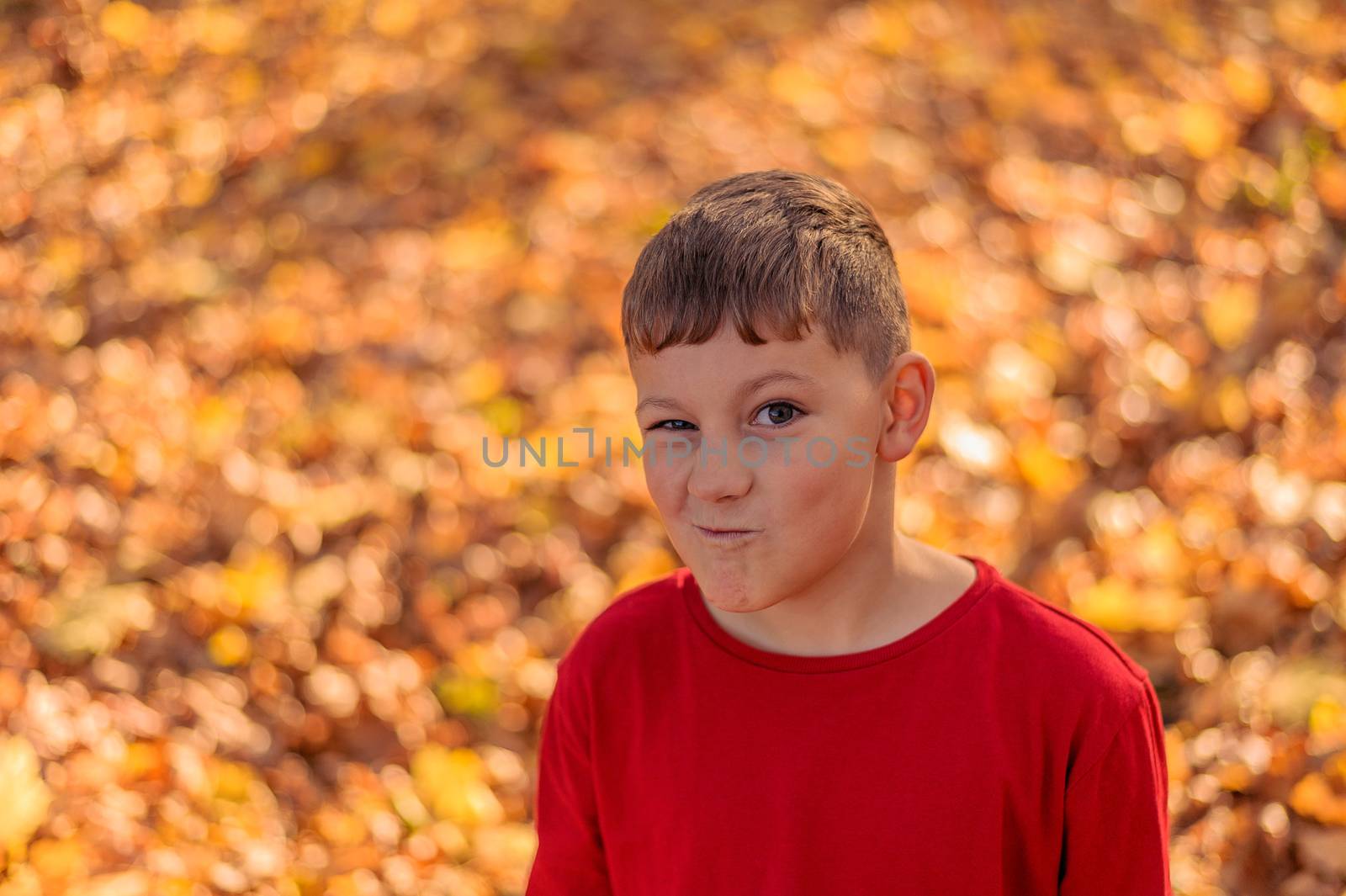 close portrait of a cunning boy with a funny squinted face against a background of yellow autumn leaves