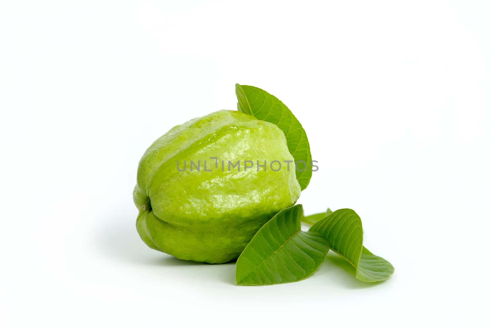 One green crystal guava fruit with leaves isolated on white background