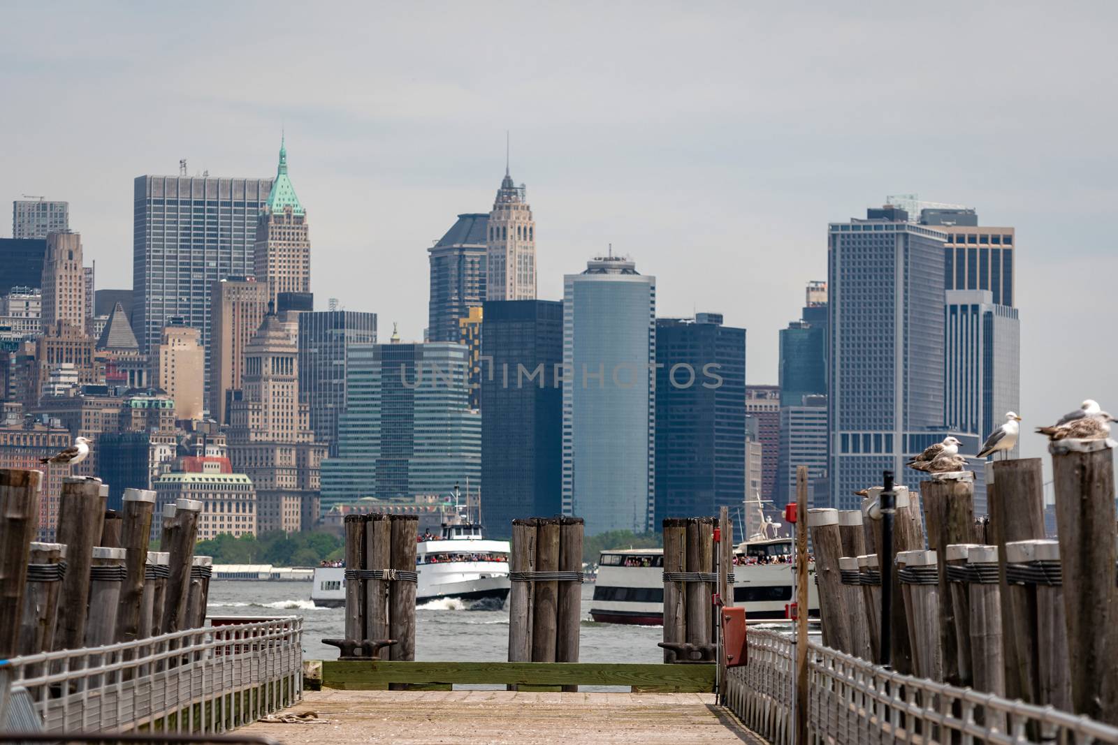 Seagulls at the Old Ferry Dock on Liberty Island near New York City, USA - Image