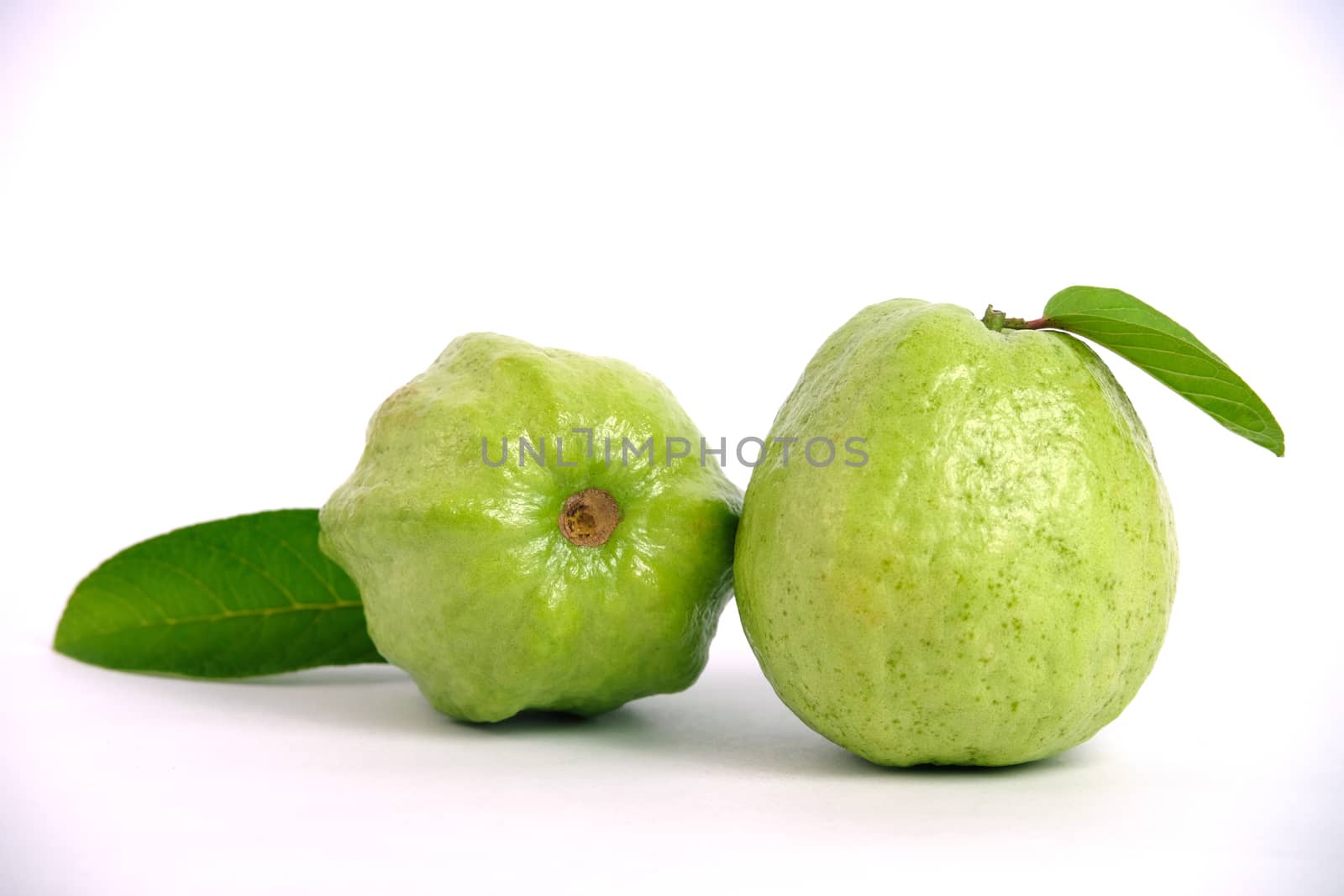 Two green crystal guava fruit with leaves isolated on white background