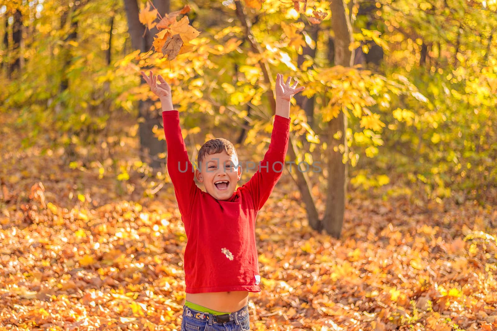 funny little boy rejoices falling yellow foliage on him in the autumn park by chernobrovin