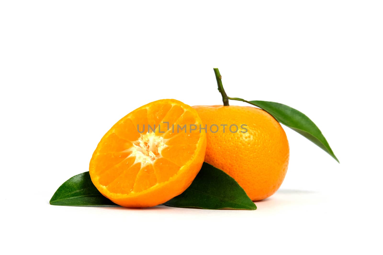 Half sliced and raw of Citrus sinensis ( called jeruk baby santang ) with leaves – local fresh fruit from Indonesia. Isolated fruit on white background