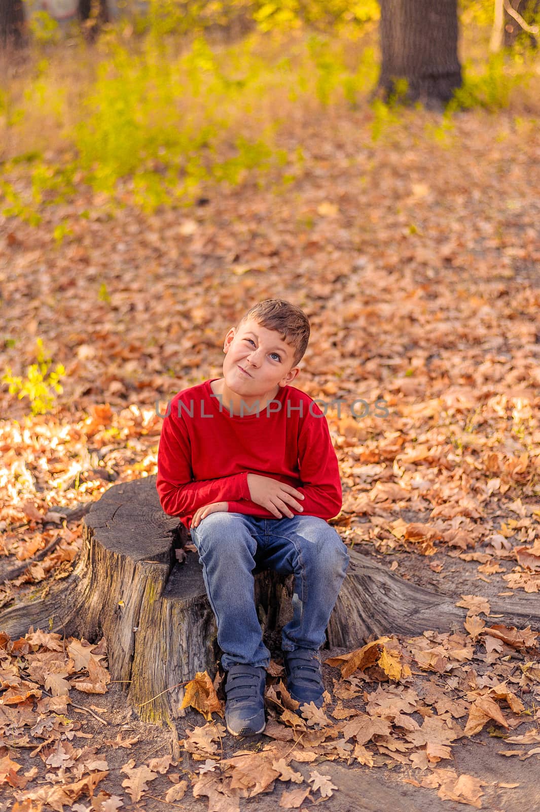 funny boy in a red sweater sitting on a stump in the autumn forest