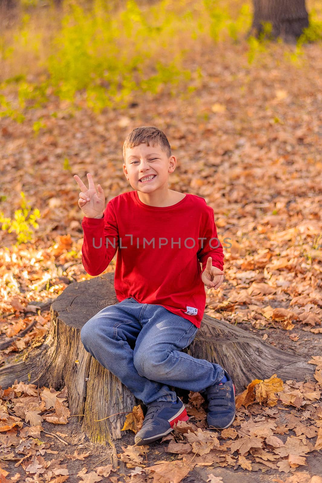 little funny boy in a red sweater sits on a stump in an autumn park and shows the sign victory