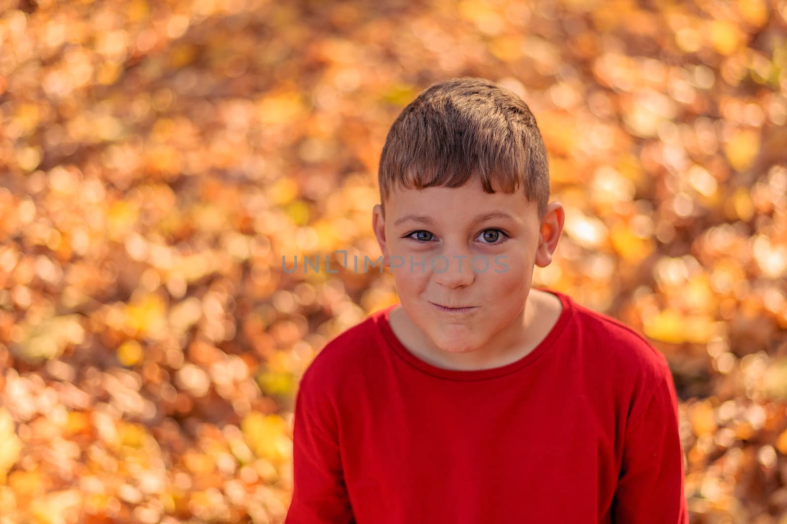 little boy in red with a beautiful smile stands in autumn park on fallen foliage by chernobrovin