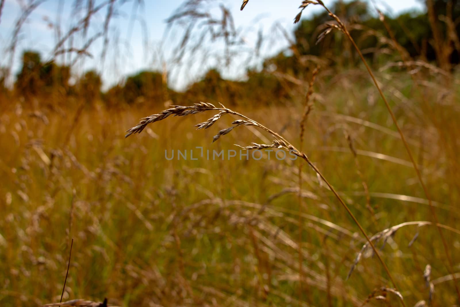 Landscape photo taken in Ontario Canada