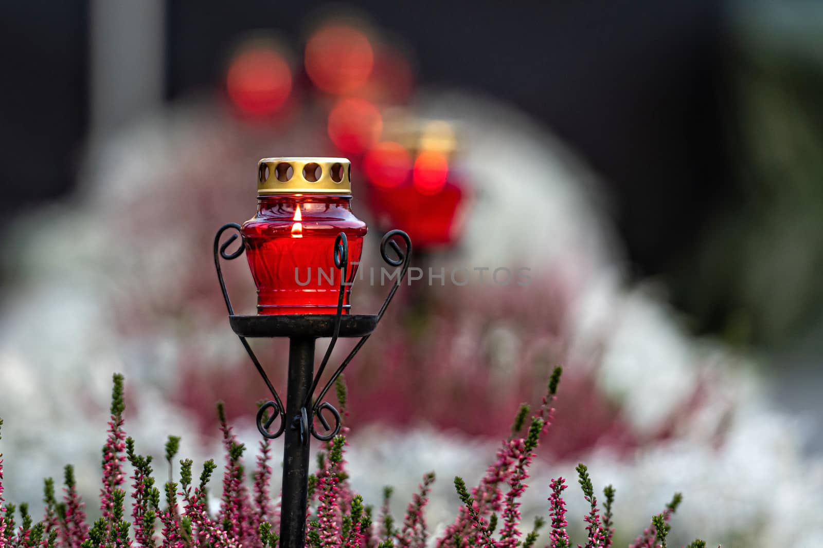 row of burning candles in red glass holders on a defocused floral background at night, remembrance event
