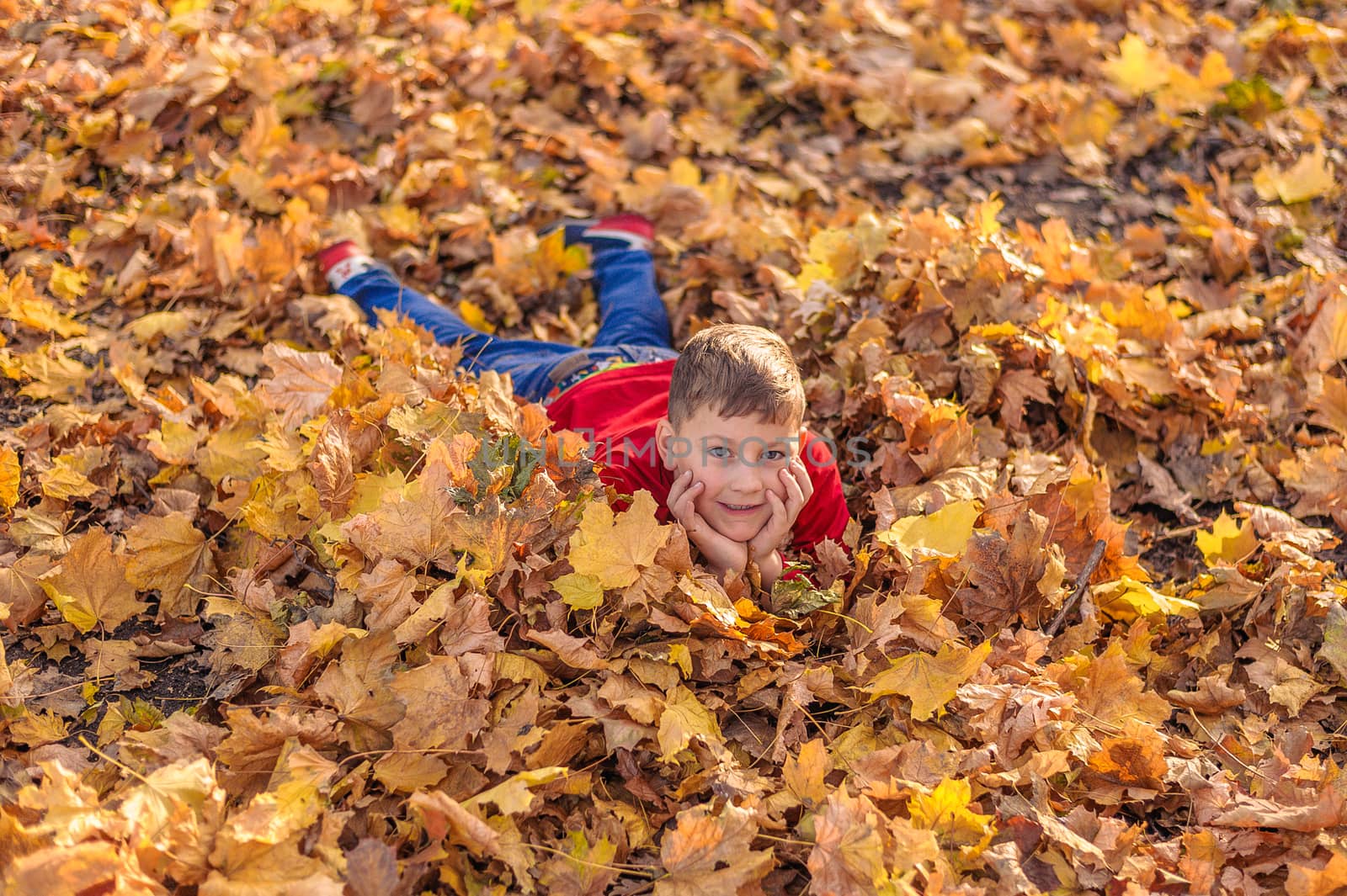 young handsome guy lies on autumn foliage in the park