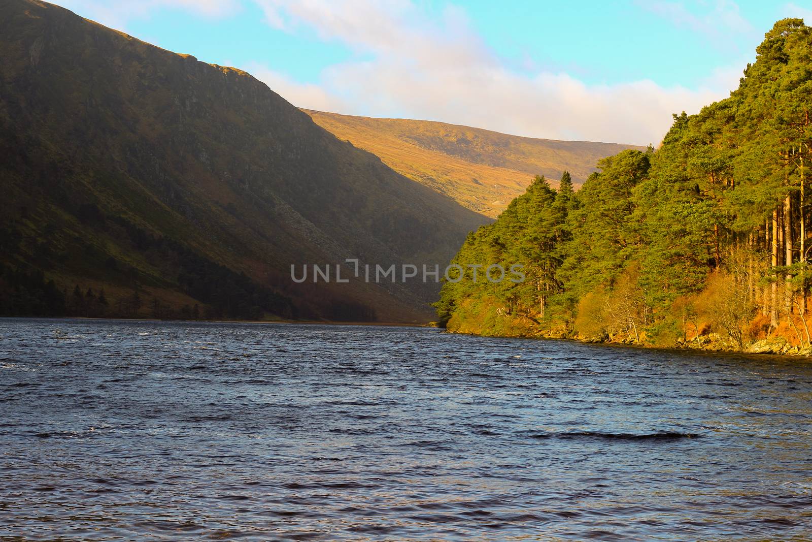 Guinness Lake, Wicklow Mountains, Ireland, Nature, Flowers, Sunny Day, Blue Sky, Sun by mynewturtle1
