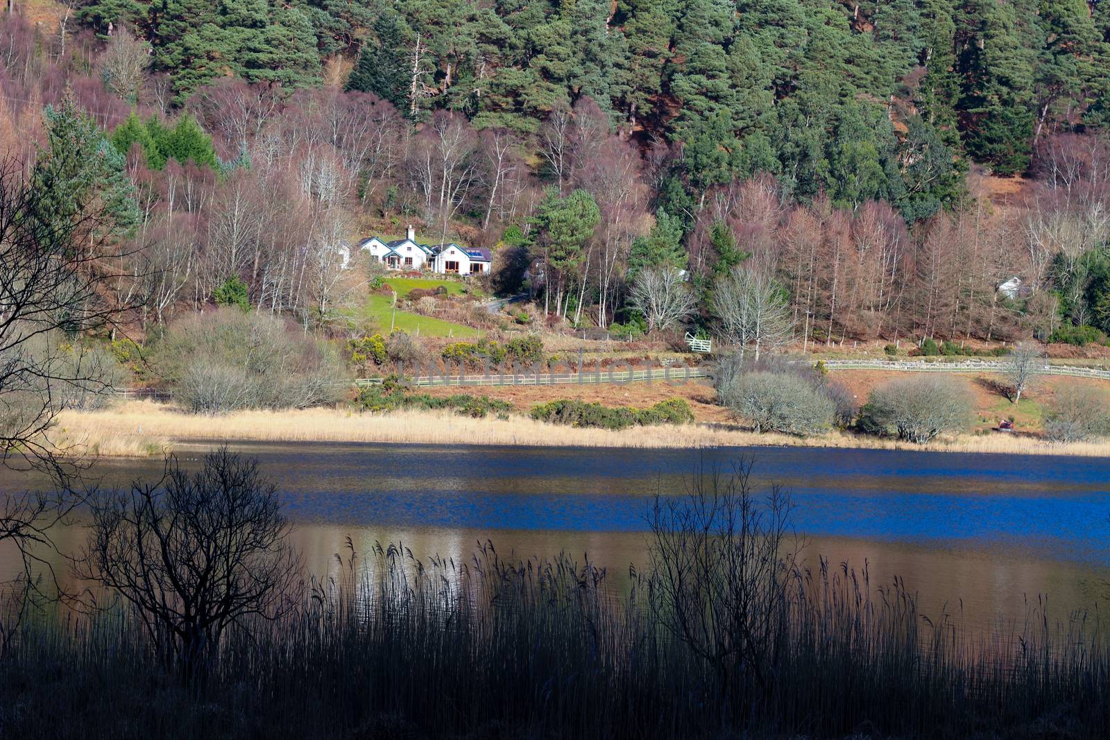 Sally Gap in Wicklow Mountains.