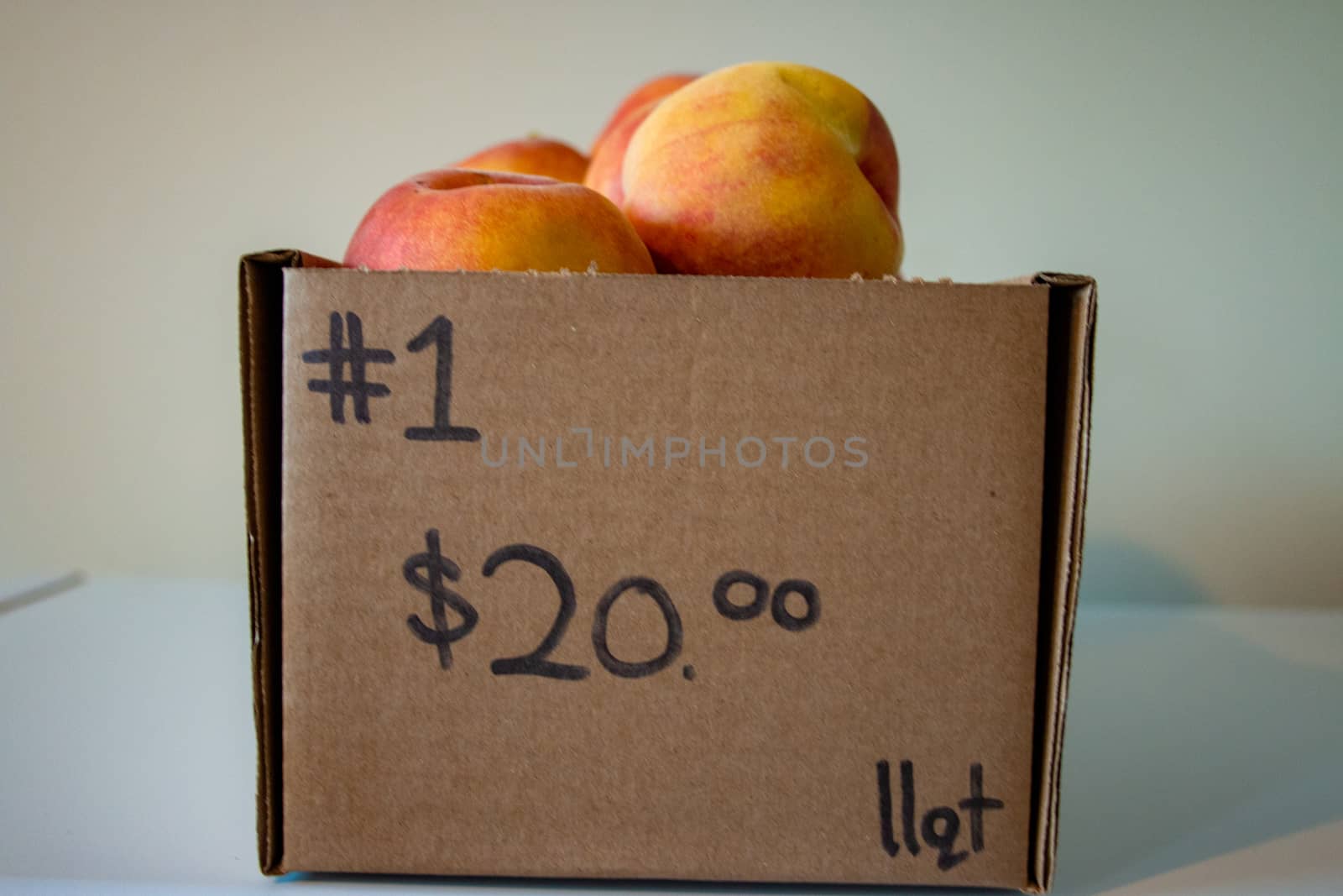 Fresh Organic Peaches Heap Of Fresh Ripe Peaches. 11 quart box of peaches that was 20 dollars by mynewturtle1