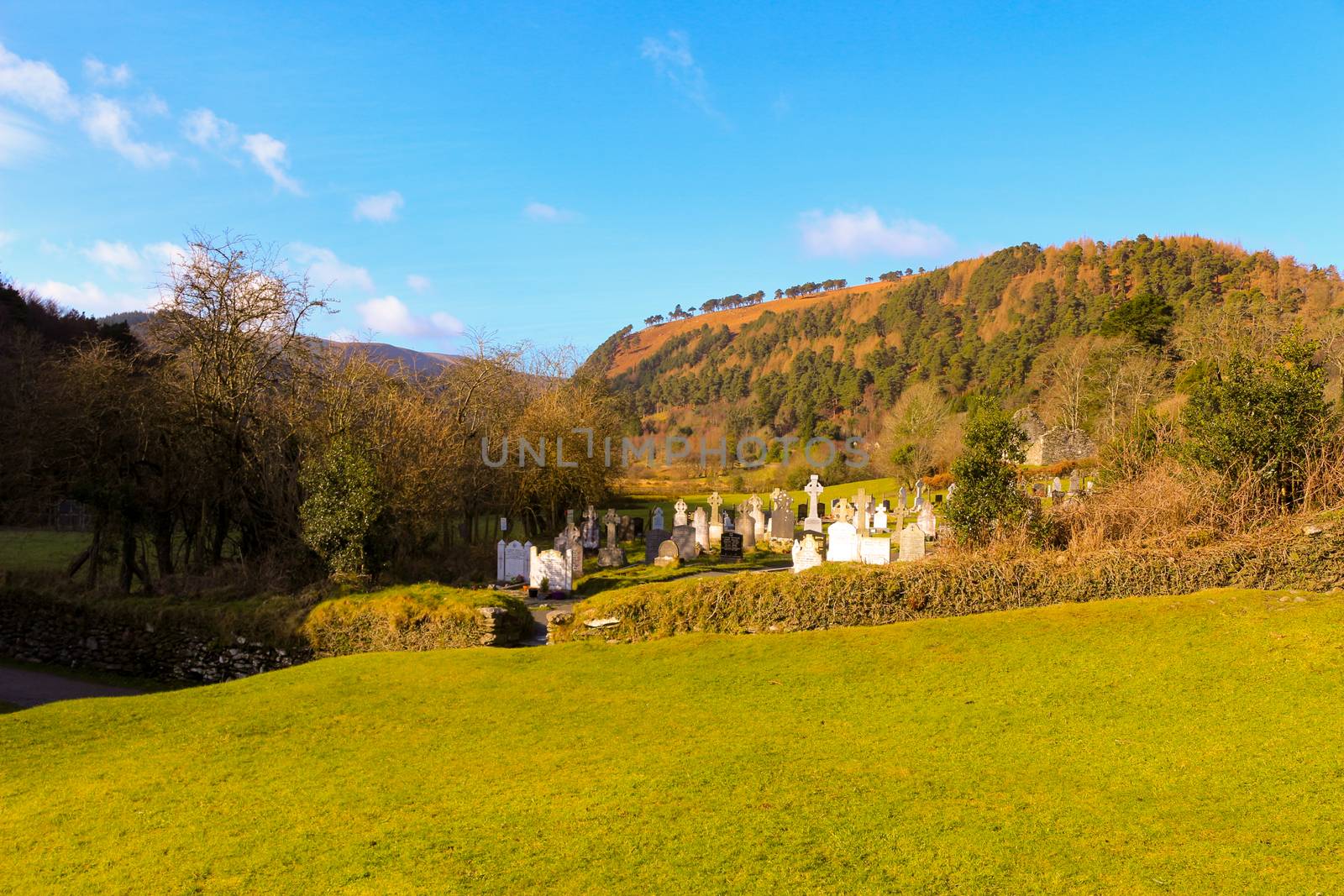 Guinness Lake, Wicklow Mountains, Ireland, Nature, Flowers, Sunny Day, Blue Sky, Sun