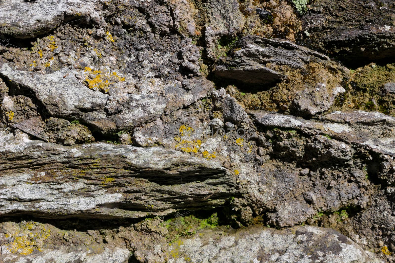 The lichens and moss as background old rock texture.
