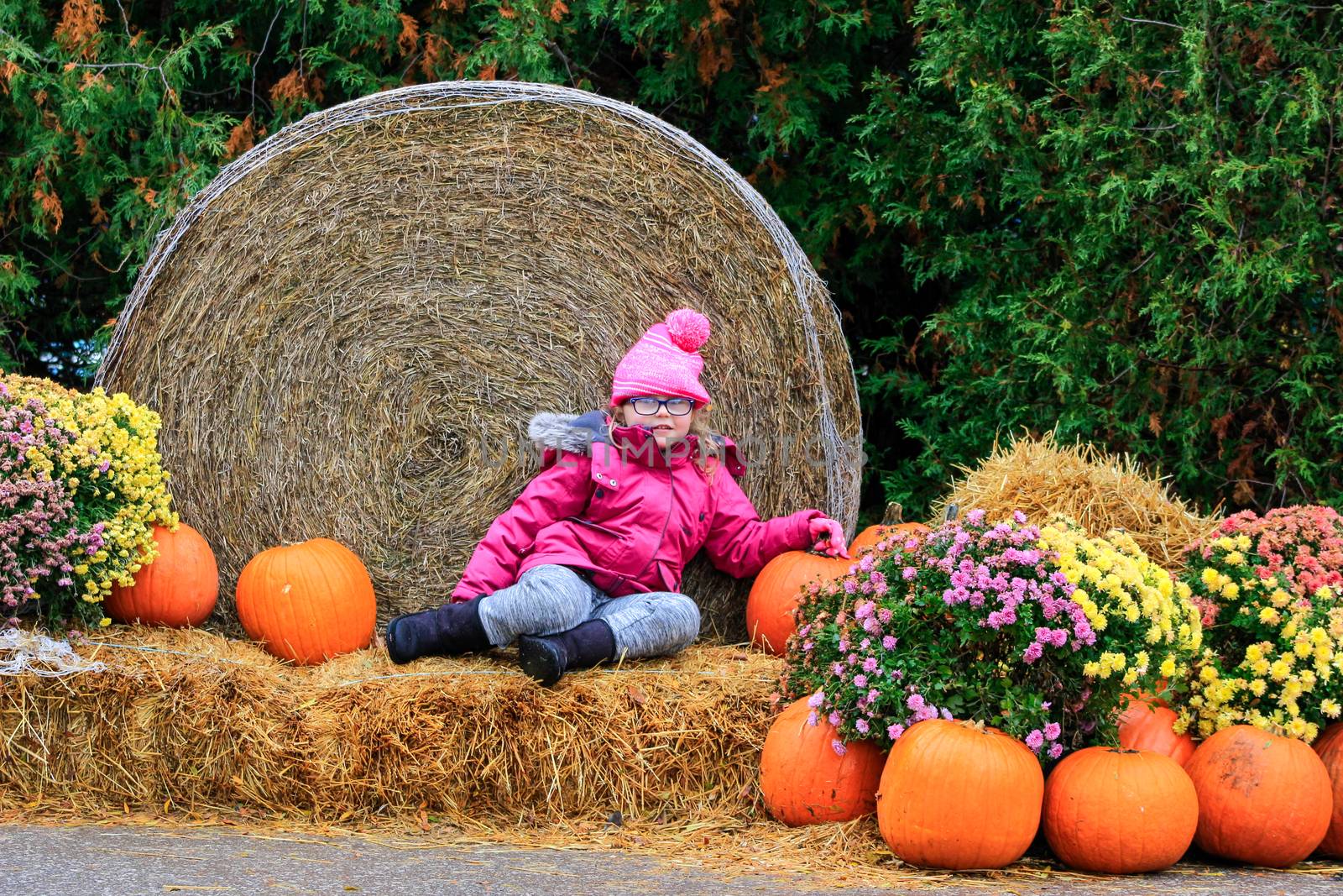 Happy Little Girl in Pumpkin Patch