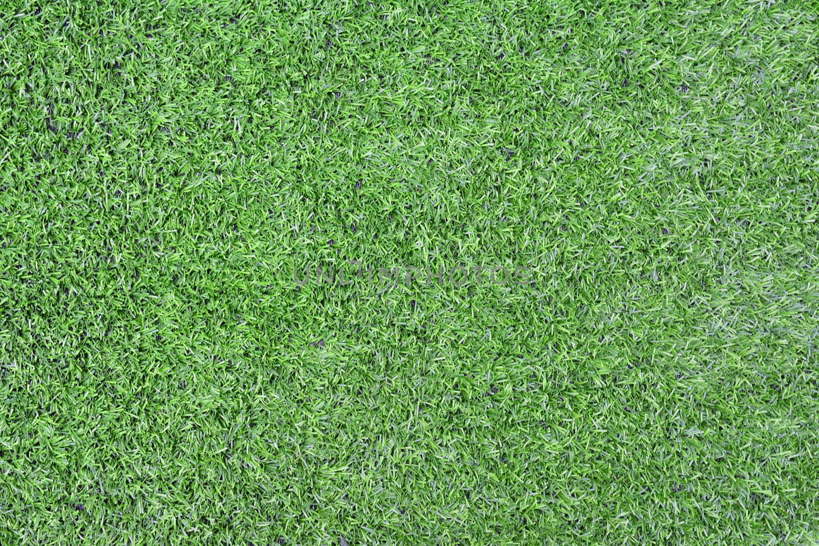 Green grass from above.