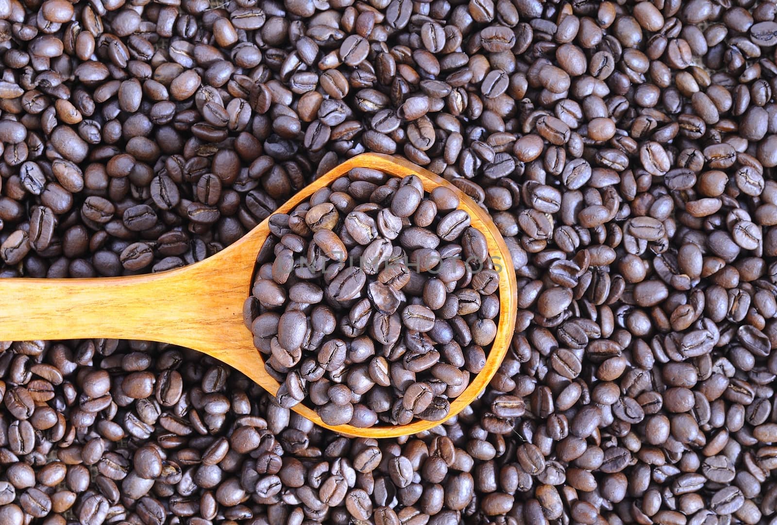 Coffee beans of the highest quality on the wooden table.