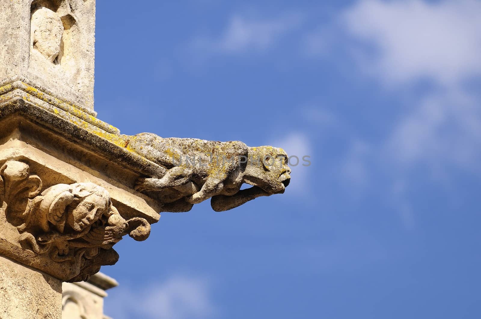 Gargoyle of the cathedral of Burgos in Spain