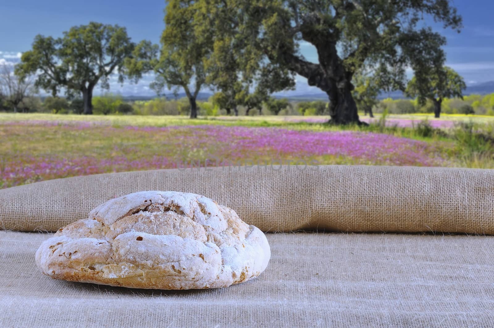 Bread on the table of the bakery.