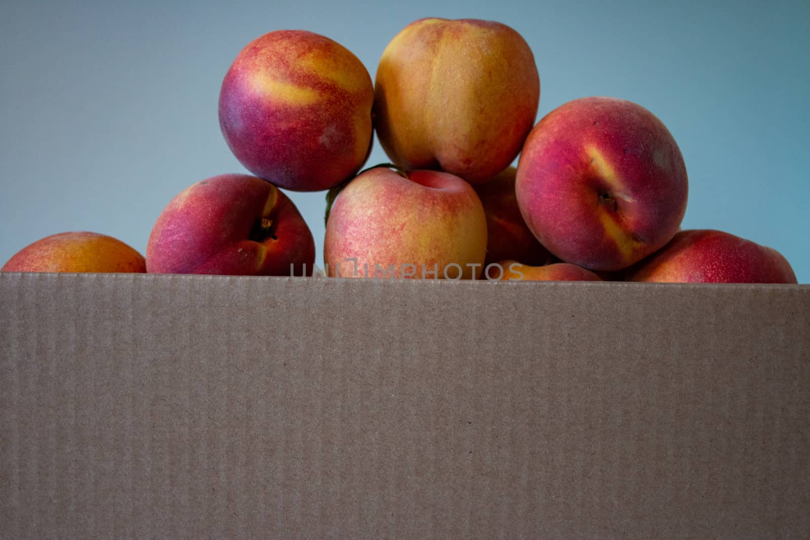 ripe peaches stacked in boxes, harvesting, peach garden.