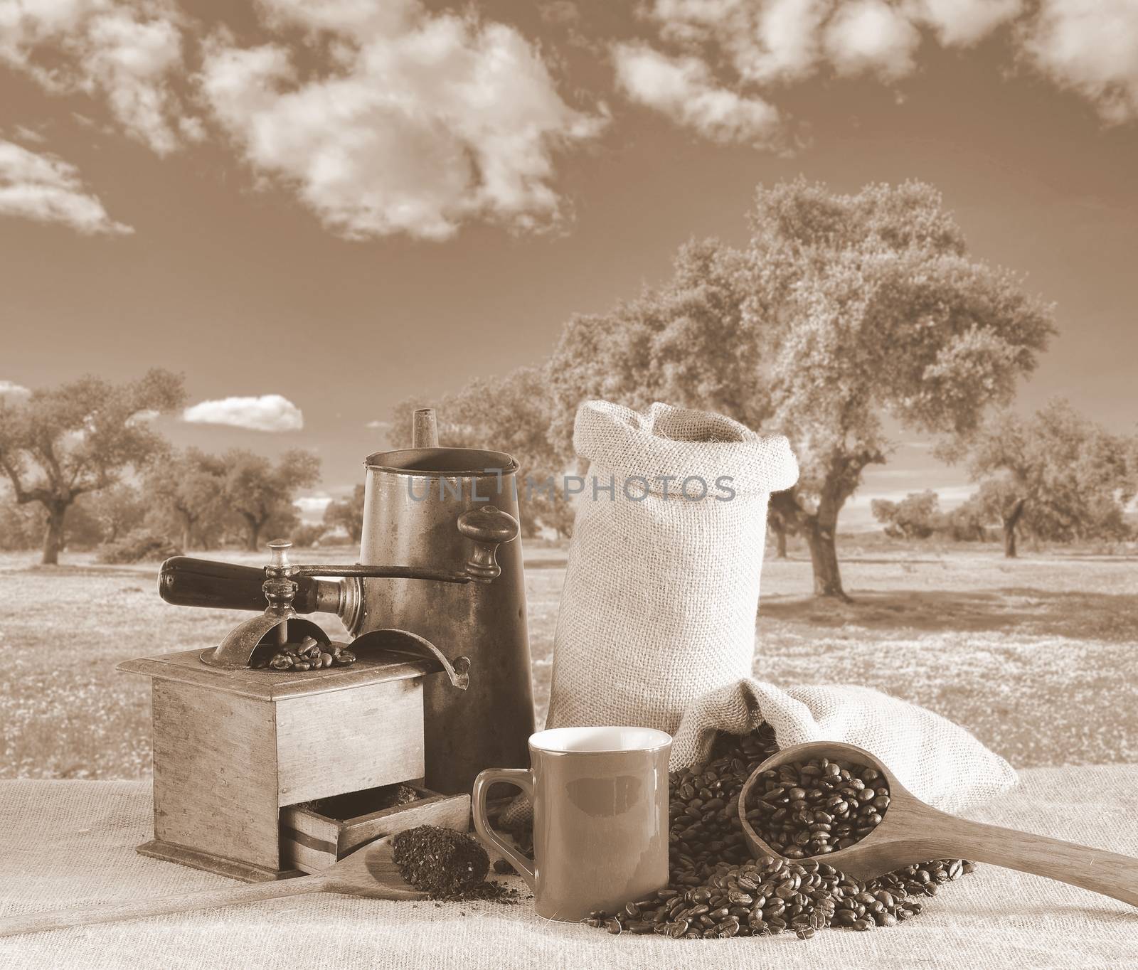 Bag of coffee beans on the table.