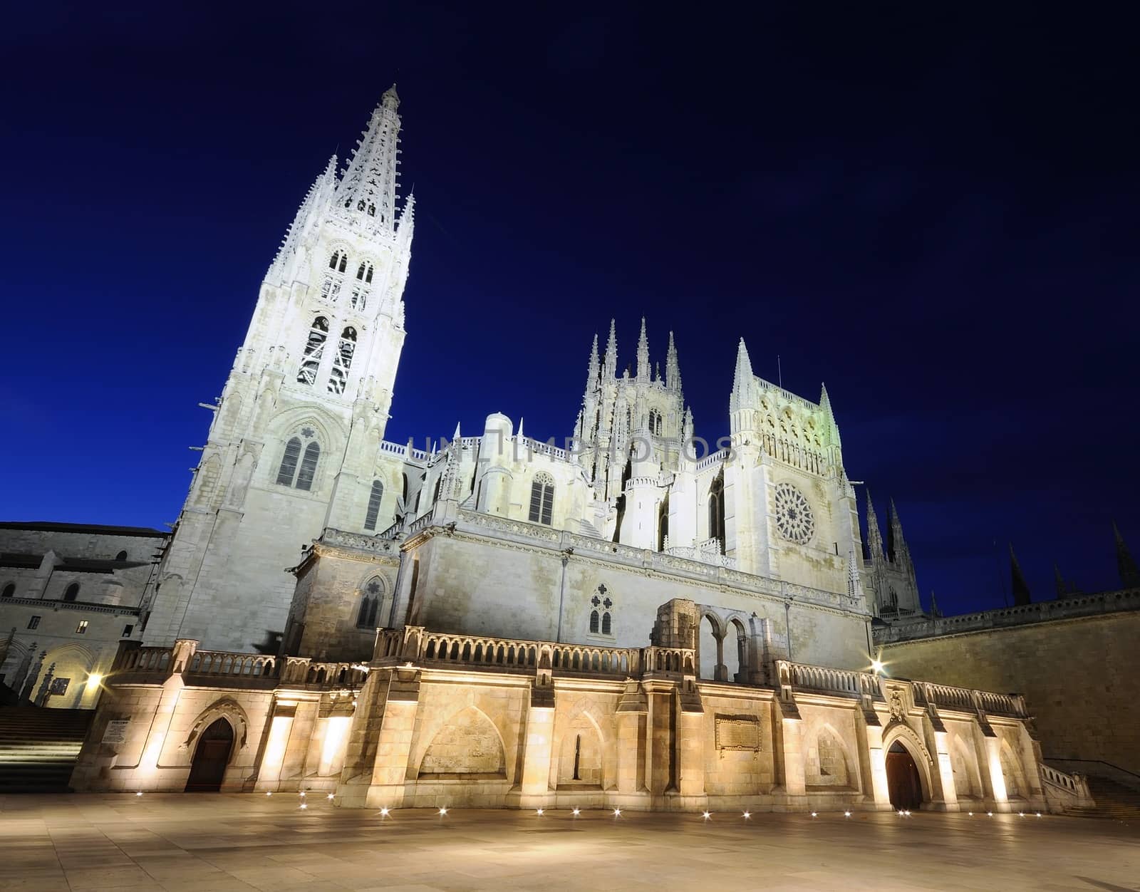 Night view of Burgos Cathedral in Spain.