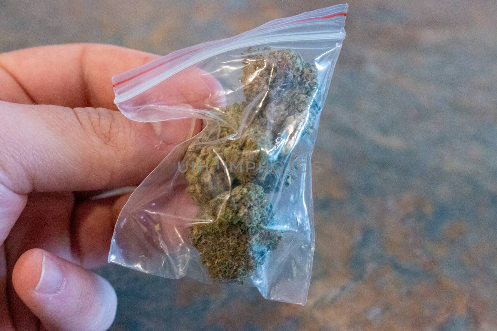 Big plastic bag of medicinal cannabis (marijuana). by mynewturtle1