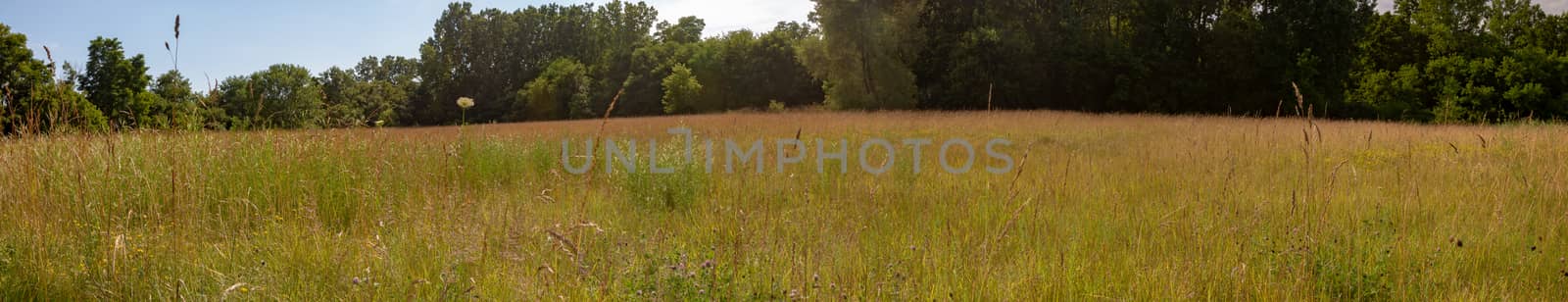 Panoramic view of field with haystacks near the forest under blue sky with white clouds under sunlight.