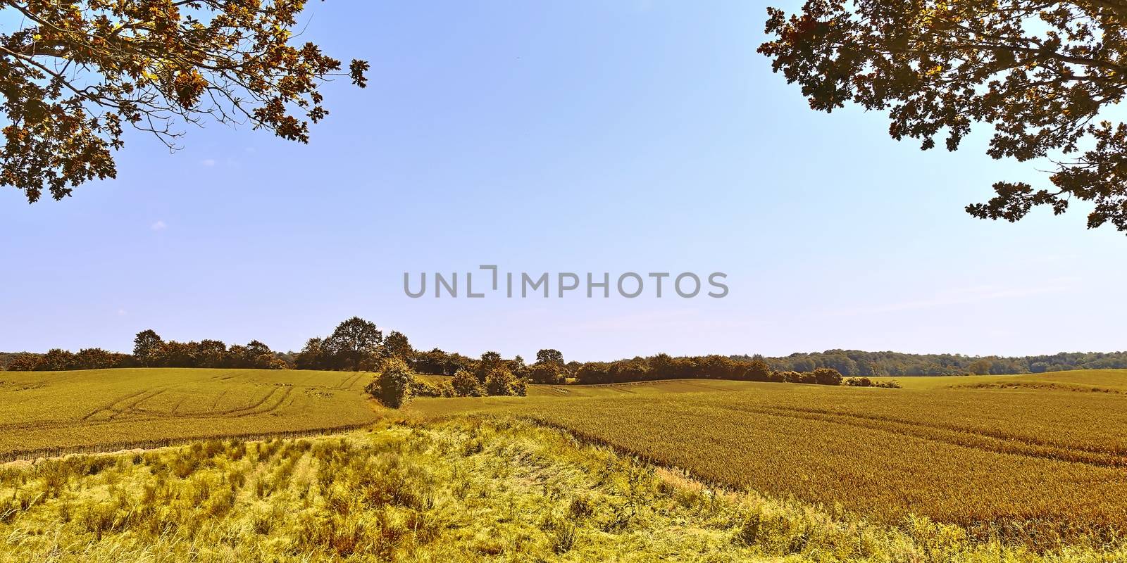 Beautiful panorama view on a golden autumn landscape in the middle of october