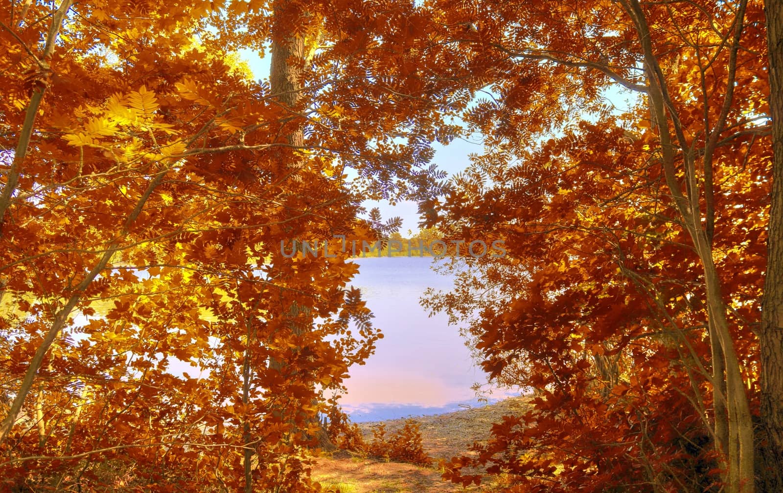 Beautiful panorama view on a golden autumn landscape in the middle of october