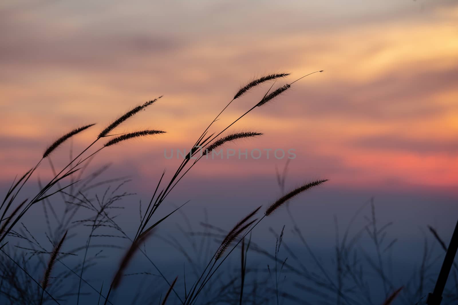 Sunset with Colorful dramatic sky in the countryside by kaiskynet