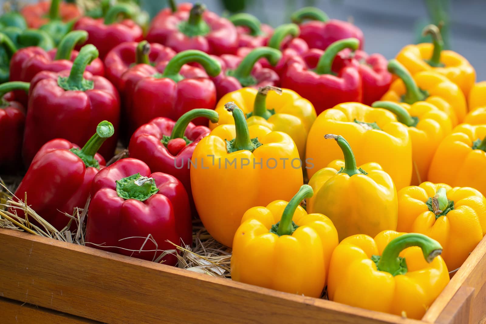 Yellow and Red peppers in wooden boxes.