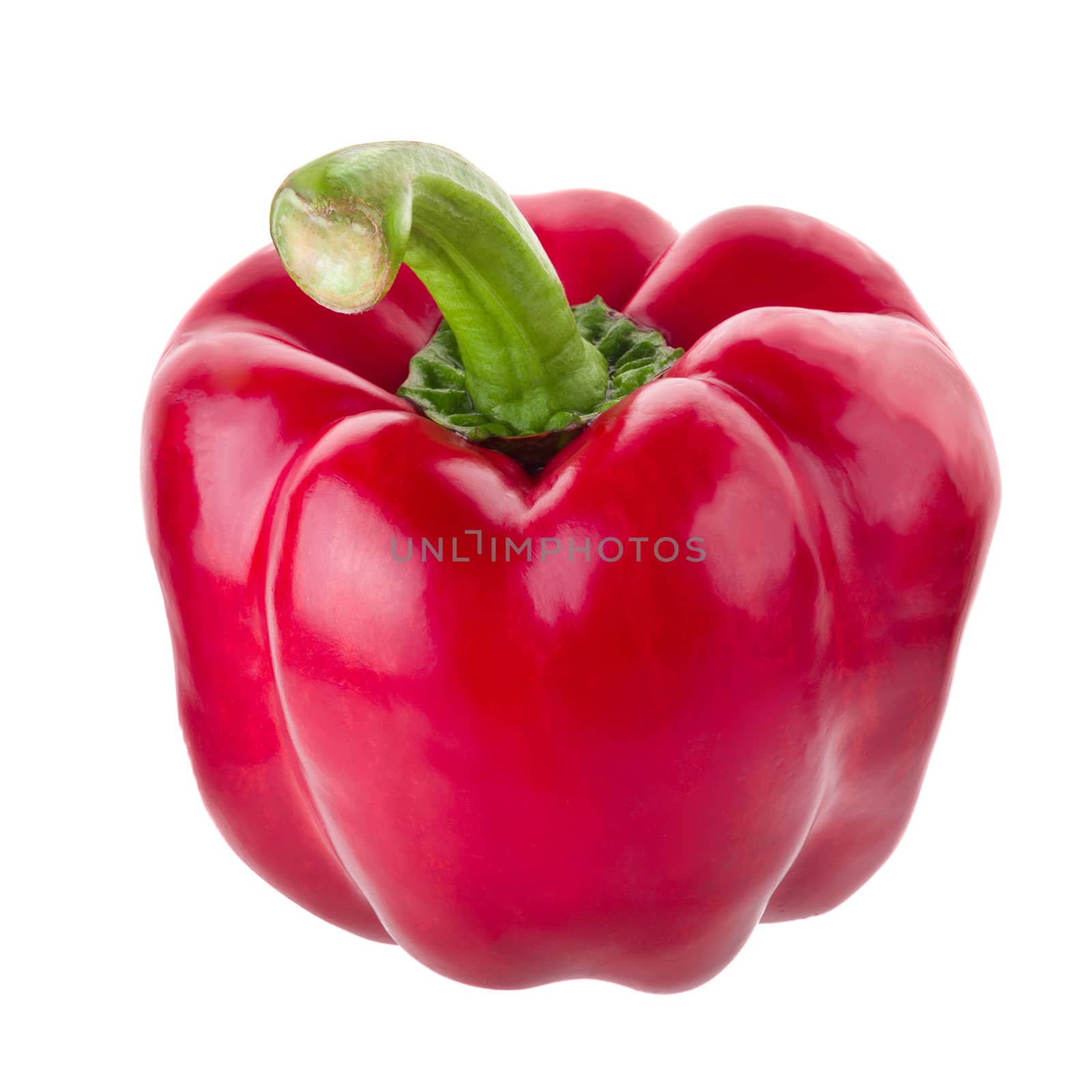 Red pepper shooted isolated on a white background.