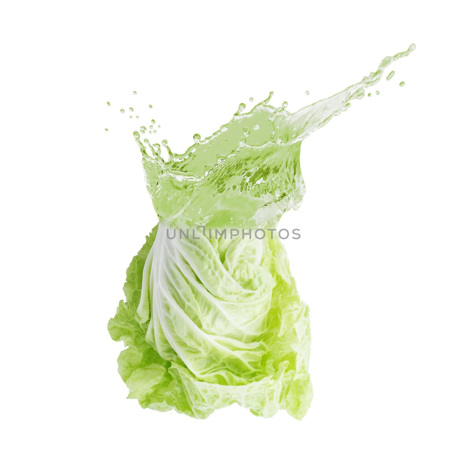 fresh chinese cabbage and juice splashing isolated on a white background.